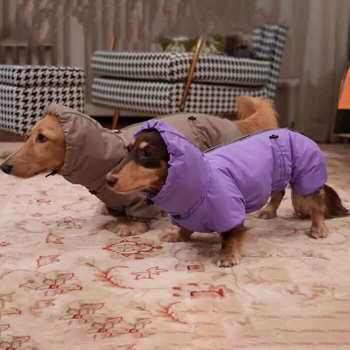 Зимовий теплий пуховик для собак, пудель, такса, джек-рассел, великий розмір 3XL, XXXL, фіолетовий, для прогулянок, хаджінгу, кемпінгу