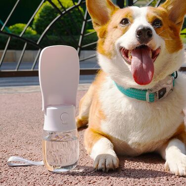 Складана пляшка для води для собак AVELORA, портативний диспенсер для води для собак, котів, кроликів, цуценят та інших дрібних тварин для прогулянок, походів, подорожей. Можна мити в посудомийній машині, аксесуар для цуценят, 284 мл