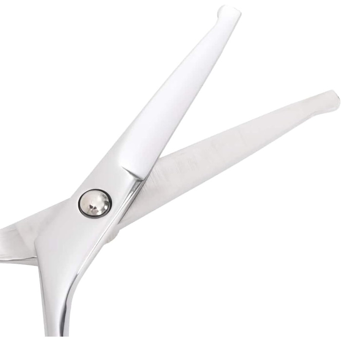 Набір професійних ножиць для собак з нержавіючої сталі - для всіх порід - з ножицями для фінальної обробки, гребінцем та ганчіркою - сріблястий Model4101328