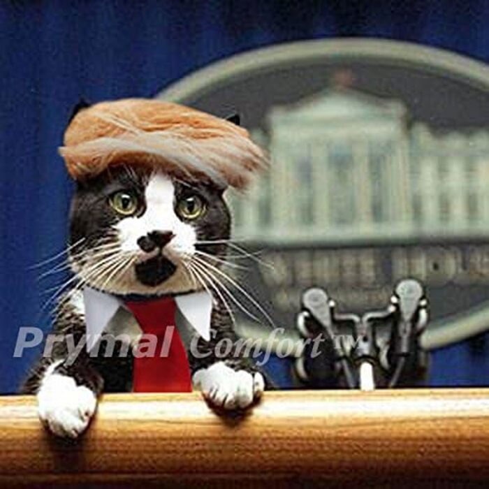 Костюм на Хелловін для кота/собаки: Трамп, жовтого та червоного кольорів