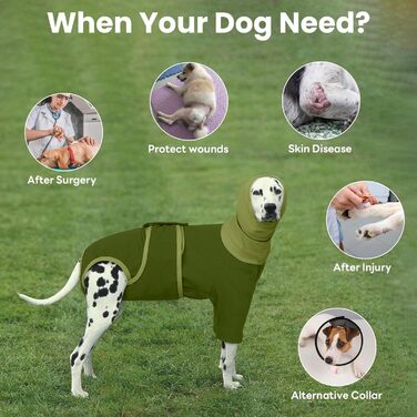 Теплий дощовик для собак MHaustlie з капюшоном та захистом вух, 2 в 1, худі, зелений, розмір S