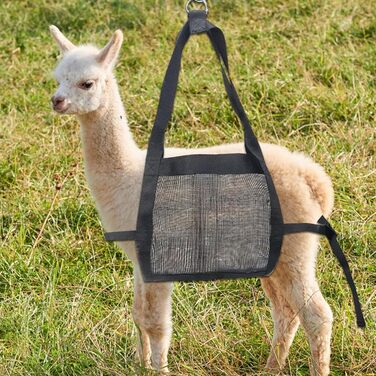 Гамак для грумінгу собак – гамак для догляду за шерстю, гамак для грумінгу домашніх тварин, шлейка для собак для стрижки нігтів, міцна підвіска для ніг з 2 D-подібними петлями для ніг