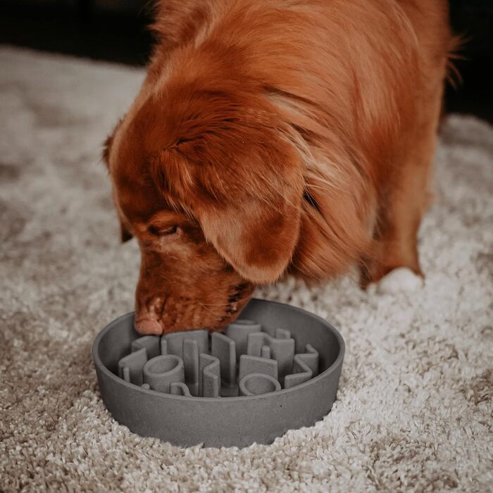 Повільний годівник для собак District 70 Bamboo Grey, діаметр 28 см