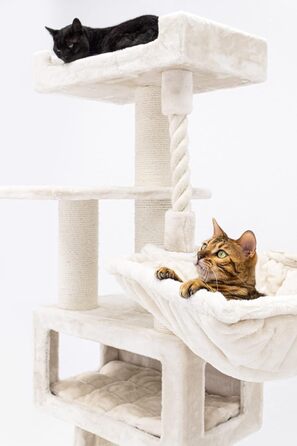 Дряпка для котів Petrebels Parklane 175 см, преміум, з XXL гамаком, спальним будиночком, диваном і товстими стовпами, бежево-кремова