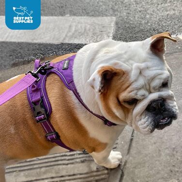 Регульована шлейка для собак Voyager Von Best Pet Supplies з 3M відбивачем, подвійним кріпленням, не тягне, фіолетова