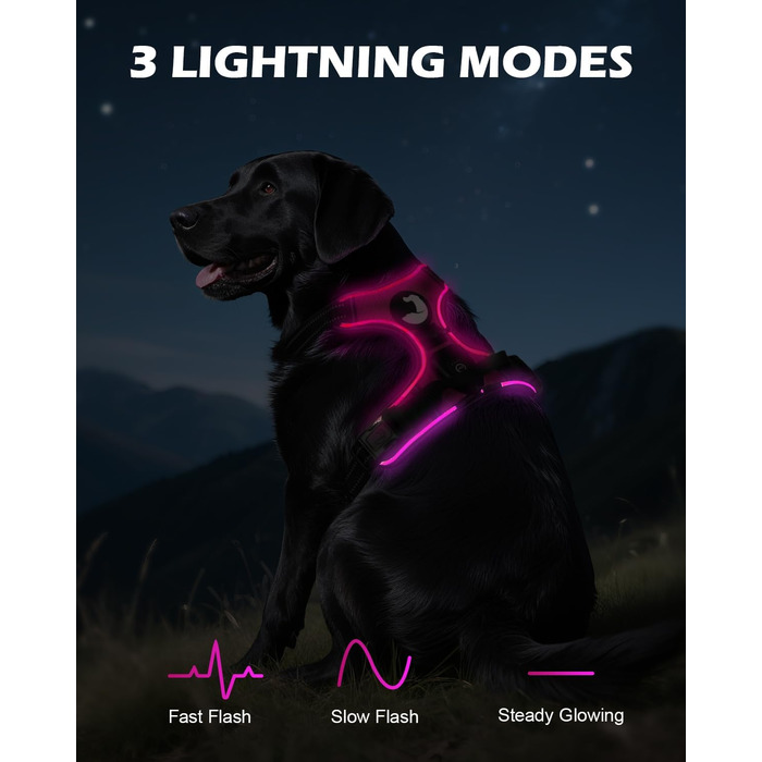 Світловідбиваючий нашийник для собак Joytale з LED, для середніх собак, без натягування, з ручкою, регульований, для нічних прогулянок, зелений, розмір M