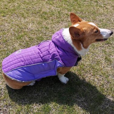Зимова куртка для собак, теплий пуховик, костюм для собак, повсякденний одяг для тварин, тепла жилетка з капюшоном, L (53-60 см), фіолетовий