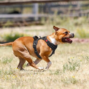 Шлейка для собак PoyPet, проти витягування, без нудоти, світловідбиваюча, з 2 карабінами, регульована, м'яка, з простим контролем, для собак будь-якого розміру (XL)