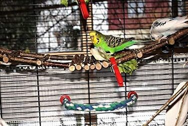 Ручна драбинка для хвилястих папуг Vogelgaleria, 80 см, з натурального дерева, для клітки, підвісна міст-драбина
