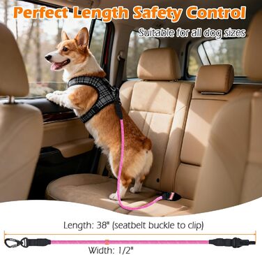 Автомобільний поводок для собак PetBonus: безпечний ремінь для собак, поводок-переноска для авто, надійні карабіни для малих, середніх та великих собак (рожевий)