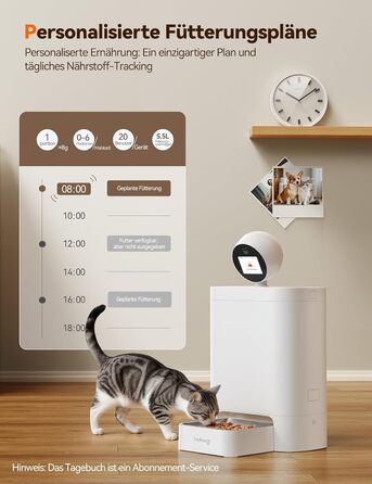 Автоматичний кормушка для котів FEELNEEDY з додатком