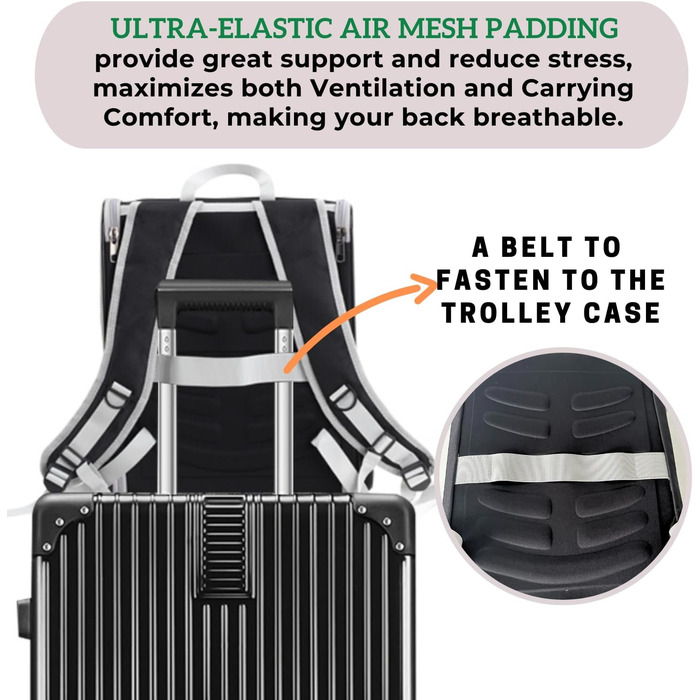 Рюкзак для собак та котів Lollimeow: дихаюча сітка, схвалено авіаперевізниками, для подорожей та прогулянок