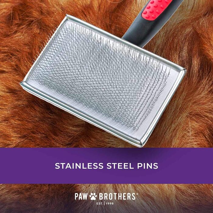 Професійна щітка для короткошерстих собак Ryan's Pet Supplies Paw Brothers, середня, 8,9x4,1 см, з покритими кінчиками, м'яка до шкіри