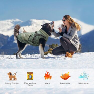 Зимовий теплий одяг для собак Mosucoirl: водонепроникна куртка з відбиваючими елементами, для маленьких, середніх та великих собак, колір зелений, розмір L