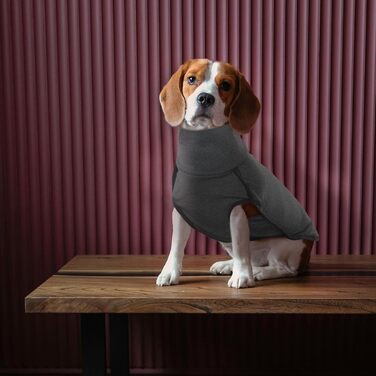 Теплий зимовий пуловер для собак Rozkitch з отвором для повідка, чорний, розмір Small. Захист від вітру, комфортний, для прогулянок, подорожей та відпочинку.