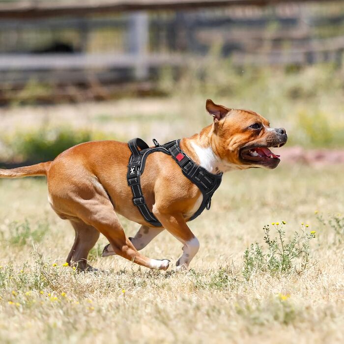 Шлейка для собак PoyPet, проти витягування, без нудоти, світловідбиваюча, з 2 карабінами, регульована, м'яка, з простим контролем, для собак будь-якого розміру (XL)