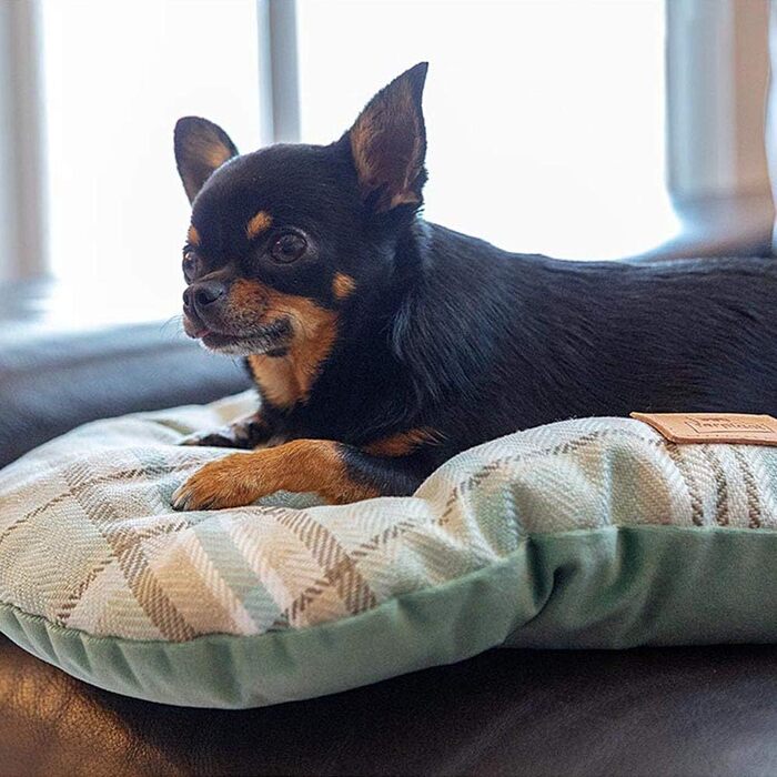 Подушка для собак та котів Ferplast SCOTT 45/2, двостороння, шотландський принт, м'який велюр, коричнева, 43 x 5 x 30 см