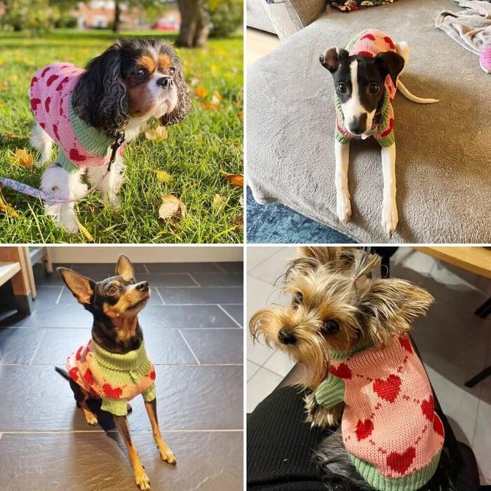 Теплий зимовий одяг для собак та котів (бавовна), рожевий