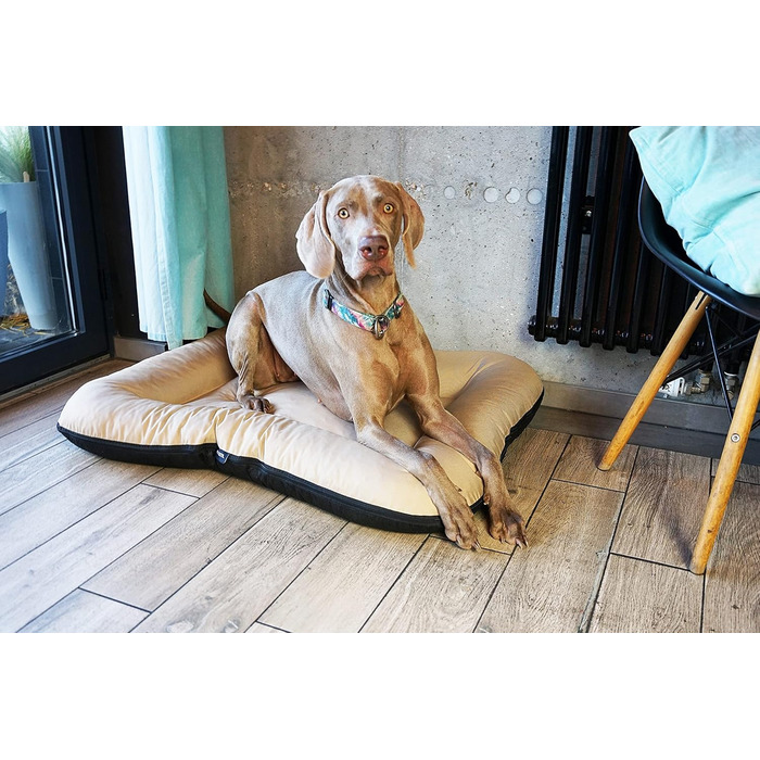 Клео - лежанка для собак середніх розмірів, 90x70 см, бежева, знімний чохол, водонепроникна, для собак великих порід