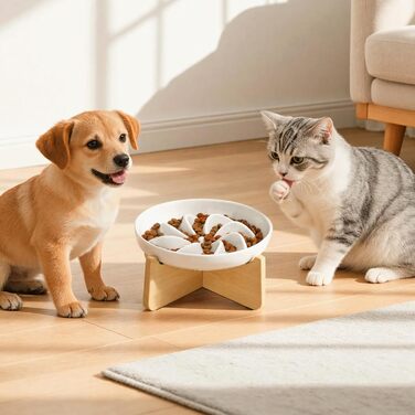 PETTOM Миска для котів протиковзаюча піднята, керамічна миска для котів, повільна годівниця для котів, миска протиковзання для котів та маленьких собак, біла миска + підставка (миска біла-квітка + підставка)