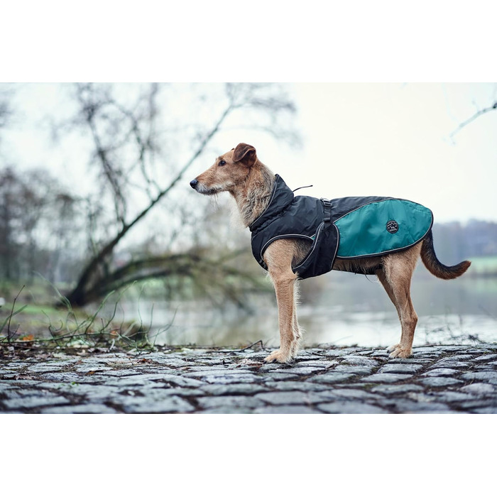 HUNTER Hundemantel Uppsala Allrounder: водонепроникний, вітрозахисний, знімний підклад, розмір 35, антрацит/петроль