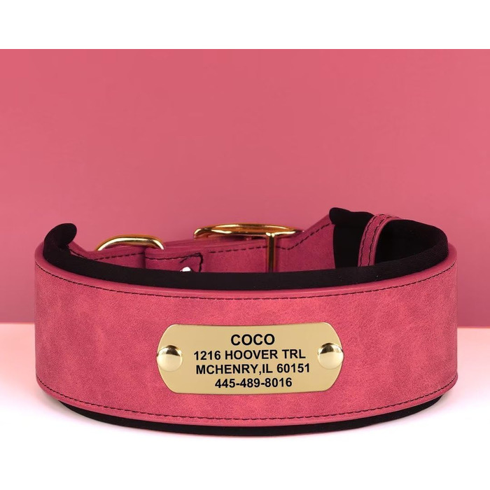Нашийник для собак середніх та великих порід PET ARTIST з міцної PU шкіри, з гравіюванням, металева застібка, L (M: Neck 33-41см, Width 3см), червоний
