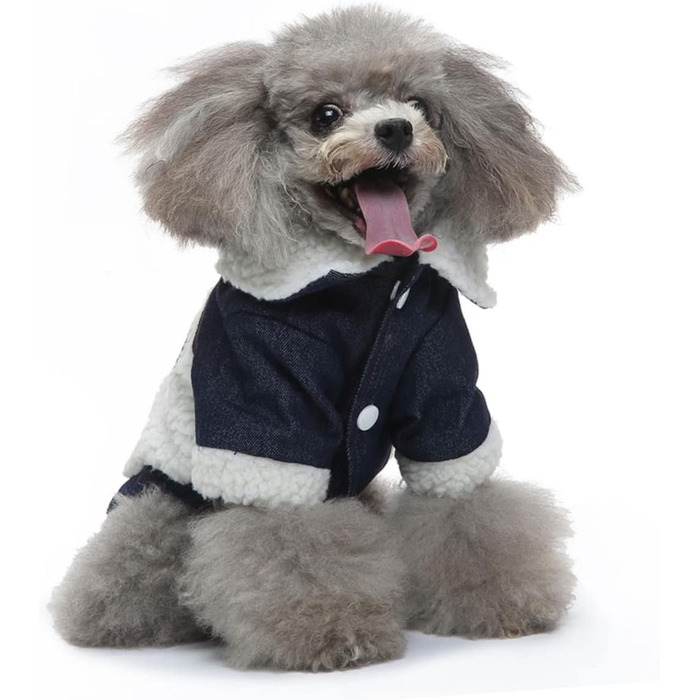 ERINGOGO Тепла куртка для собак на зиму. Водонепроникна, для активного відпочинку та фотосесій. Розмір M, Бежевий