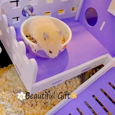 Миски для хом'яків Balacoo, круглі, керамічні, 2 шт. - для дрібних тварин, кроликів, мишей, морських свинок, їжаків, фіолетовий/блакитний