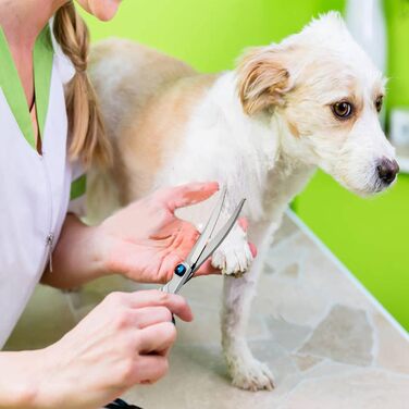 Набір для грумінгу собак Jiasoval 4-в-1: професійні ножиці, сталевий гребінець, сумка, безпечні кінчики