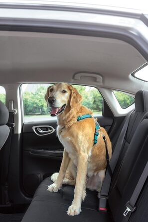 Шлея для собак PetSafe 3-в-1, анти-тягова, з автокріпленням, рефлекторами, ручкою, розмір L, чорна/синя/фіолетова