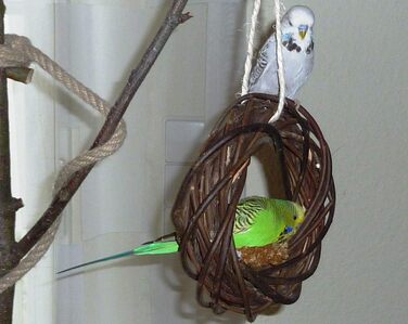 Дерев'яний іграшковий кілечко з лози для птахів (волинки, корели та ін.); Vogelgaleria®