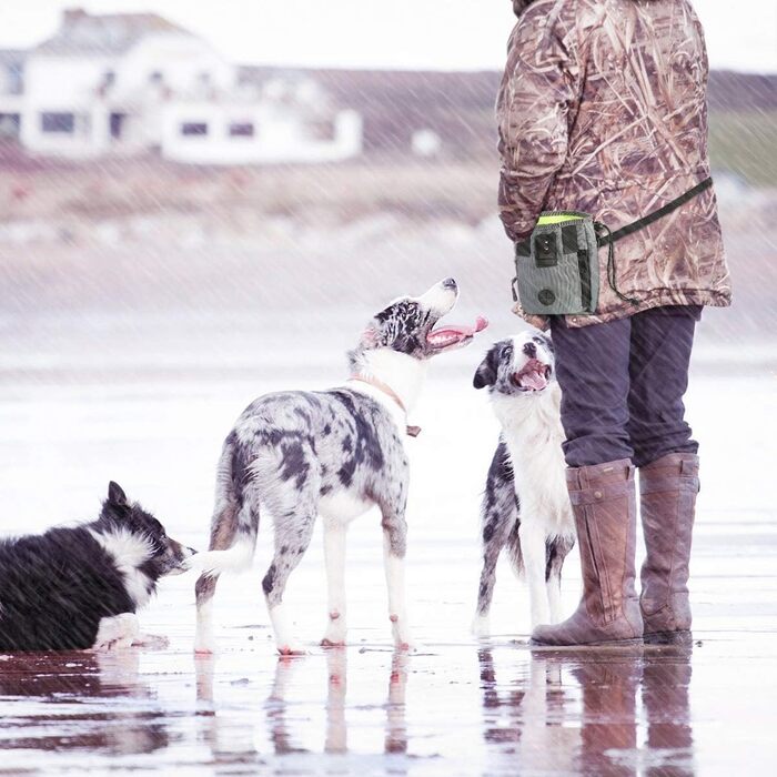 Сумка для ласощів для собак Hanwell з дозатором для прибирального інвентарю, водонепроникна, сіра