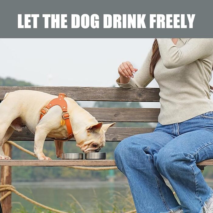 Турбунок для собак на ходу 950 мл – ізольована сталева фляга для води з мискою для їжі та води, портативна фляга для собак без BPA для подорожей, прогулянок та активного відпочинку (Сірий, L)