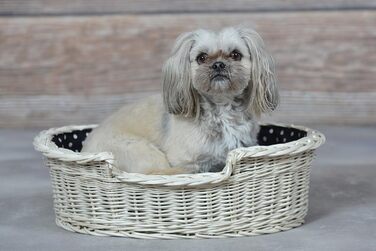 Гніздо для собак з лози e-wicker24 502-60, коричневе, 60x43x19 см (80x60x26 см, бежеве)