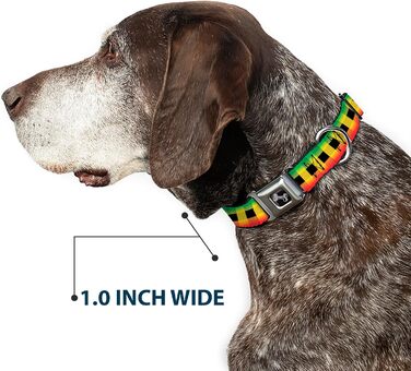 Нашийник Buckle-Down Buffalo Plaid Rasta для собак, кістка, середній, 27,9–43,2 см
