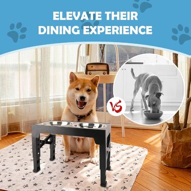 Підвищені годівниці для собак JumeiYoupin - набір з 3 шт. (2 з нержавіючої сталі, 1 для повільного годування) - 5 рівнів висоти - зменшують навантаження на шию - неслизькі годівниці для собак будь-якого розміру та котів