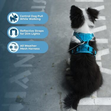 Шлея та повідець для собак Best Pet Supplies Voyager, не тягне, подвійне кріплення, червона сіточка, розмір M (груди 55,9–68,6 см)