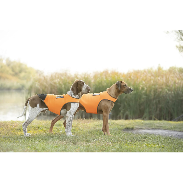 Одяг для собак Julius-K9 IDC Neopren, XL, чорний та UV-оранжевий