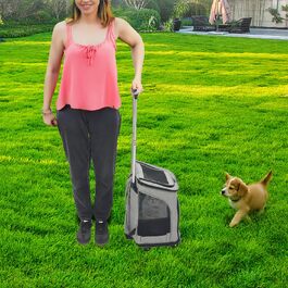 Складаний рюкзак для собак та котів Soudesileim 2-в-1 з візком, до 9 кг, сірий, 34x28x44 см