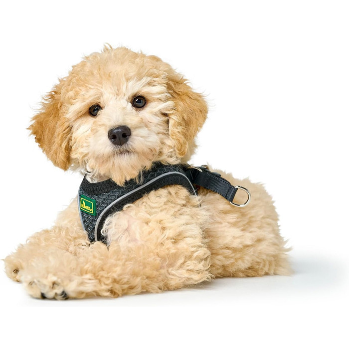 Шлейка для собак HUNTER HILO COMFORT, антрацит, XS-S, легка, з сітчастого матеріалу, для маленьких та середніх собак