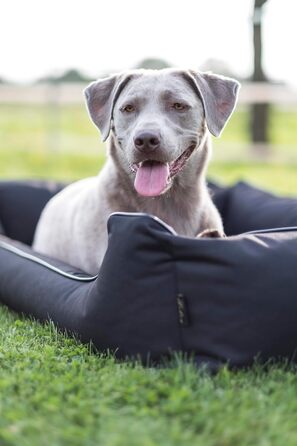 Ортопедичне ліжко для собак Ebon Paua Pus | 4 кольори | 4 розміри | З антиковзаючим покриттям | Водовідштовхувальне (L, Чорний)