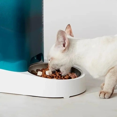 Автоматичний годувальник для тварин PetKit Fresh Element SOLO 3 л, Зелений