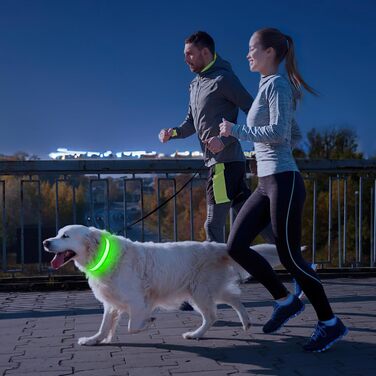 Світлодіодне нашийник для собак Leuchthalsband, водонепроникний, 7 кольорів, регульований, для маленьких та великих собак, 8 режимів, зелений, розмір M (38-50 см)