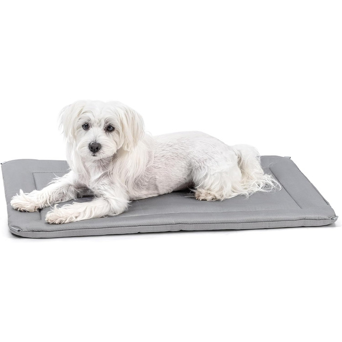 Підстилка для собаки в переноску Cybarmour - стійка до гризіння, водонепроникна, для великих порід, 89x59 см