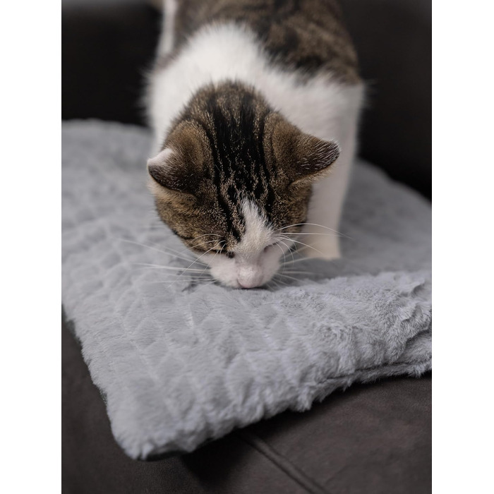 TrendPet Heaven двостороння утеплена ковдра для собак і котів, сіра, 110x70 см