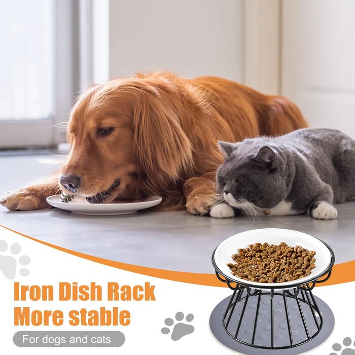 Підвищені годівниці для котів Surmounty (2 шт.) з підставки з силікону, металевий стійкий каркас, миски для корму та води
