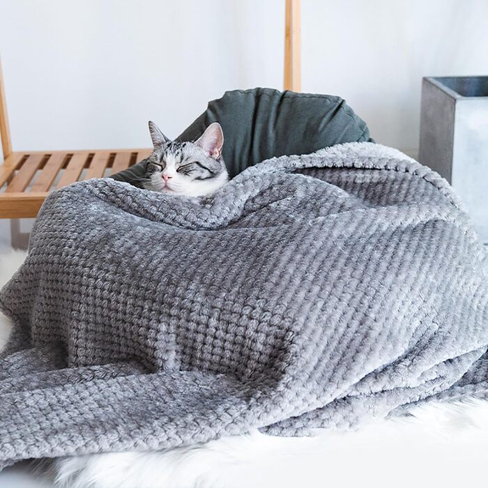 М'яка підстилка для собак та котів 2 шт. 200x120 см - Rose