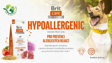 Сухий корм Brit Care Hypoallergenic для дорослих собак великих порід з ягнятимим, 14 кг