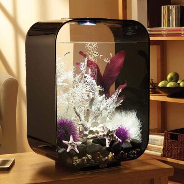Акваріум biOrb Life 15 л з LED MCR підсвіткою, чорний