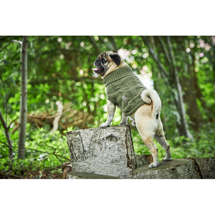 Вольтерс: светр з в'язаним візерунком для мопсів та компанії, розмір 30 см, колір оливковий
